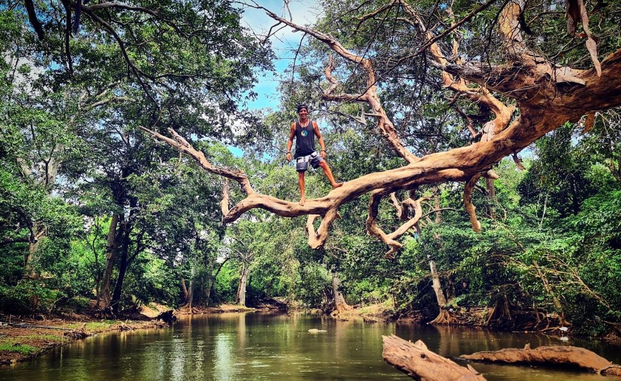 Humbhaha Jungle Yala Nature Eco Resort Kataragama Exterior foto