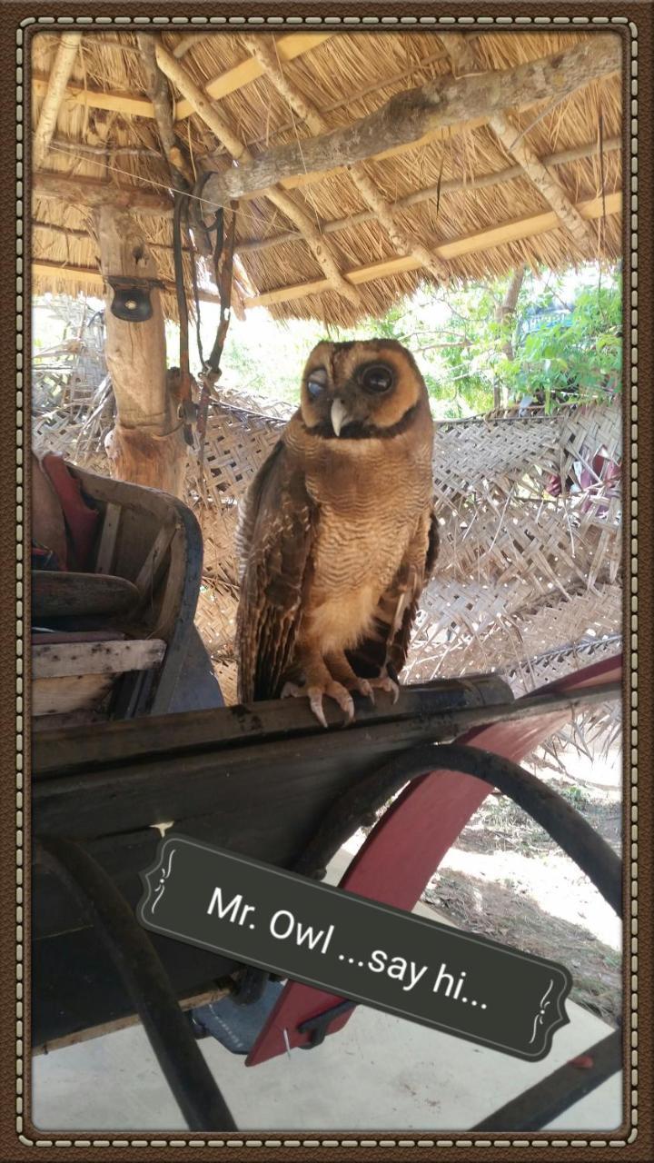 Humbhaha Jungle Yala Nature Eco Resort Kataragama Exterior foto