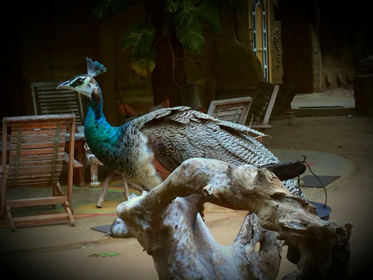 Humbhaha Jungle Yala Nature Eco Resort Kataragama Exterior foto